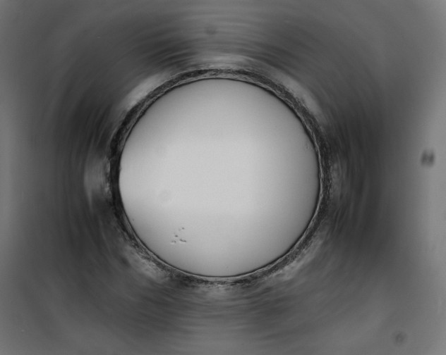 X0000100850970200807070929