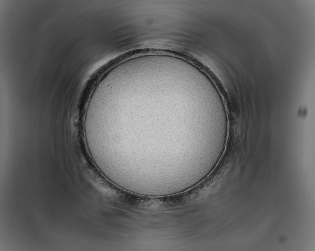 X0000100850971200807070929