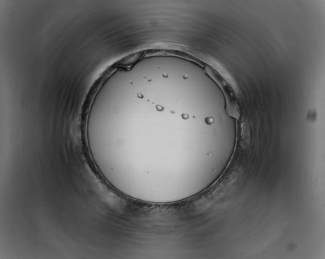 X0000100850972200807070929