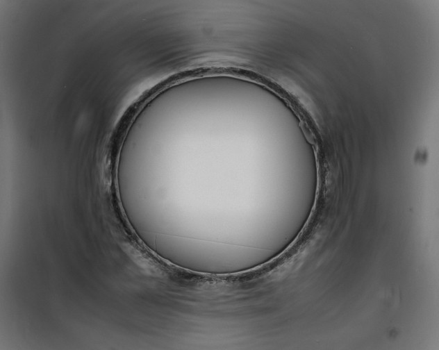 X0000100850973200807070929