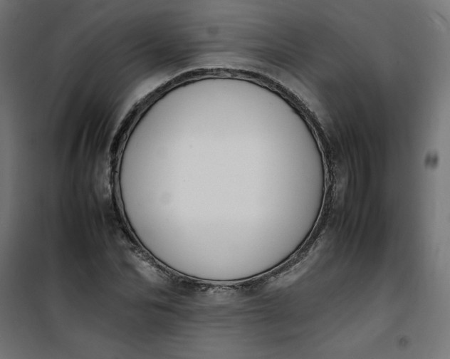 X0000100850974200807070929