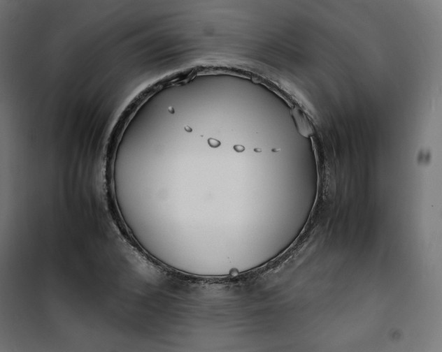 X0000100850976200807070929