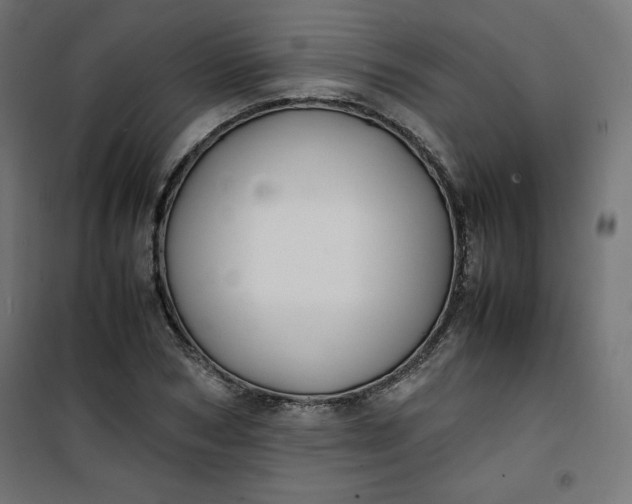 X0000100850978200807070929