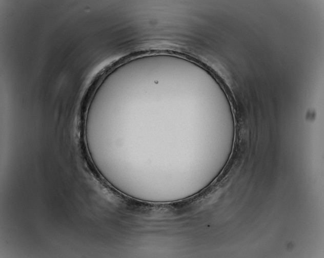 X0000100850979200807070929