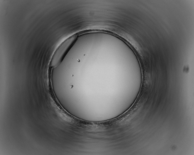 X0000100850980200807070929