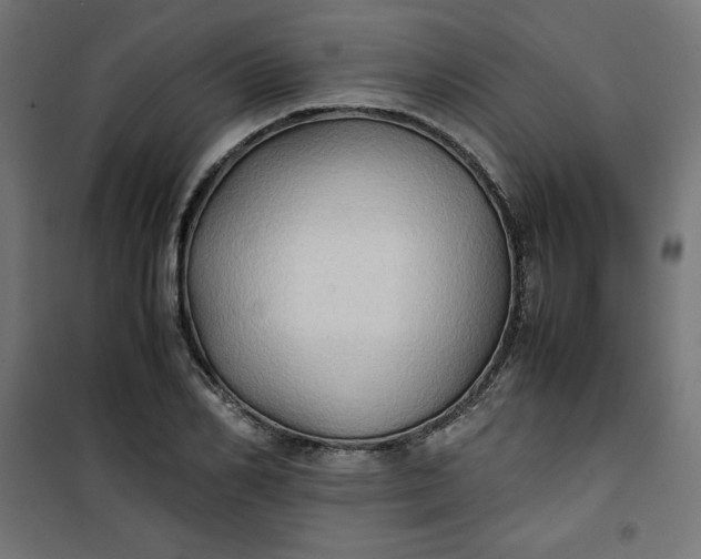 X0000100850982200807070929