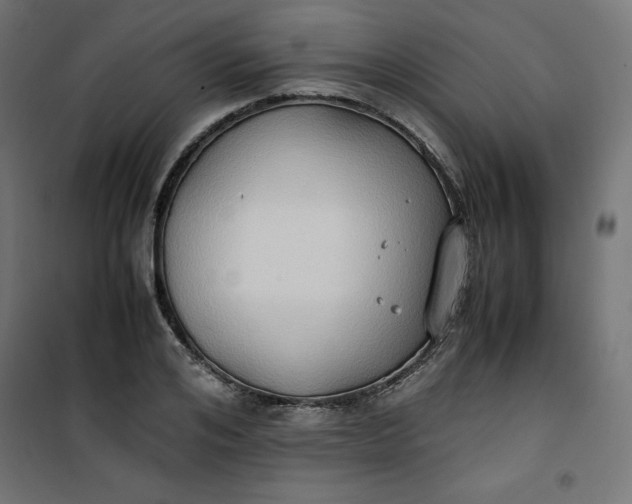 X0000100850984200807070929