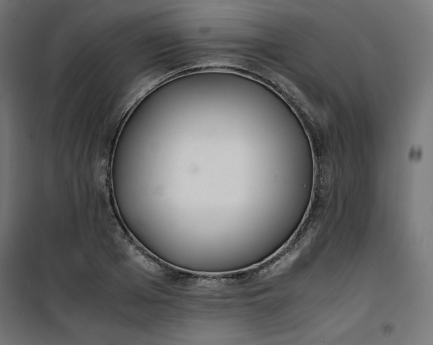 X0000100850985200807070929