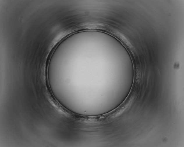 X0000100850986200807070929