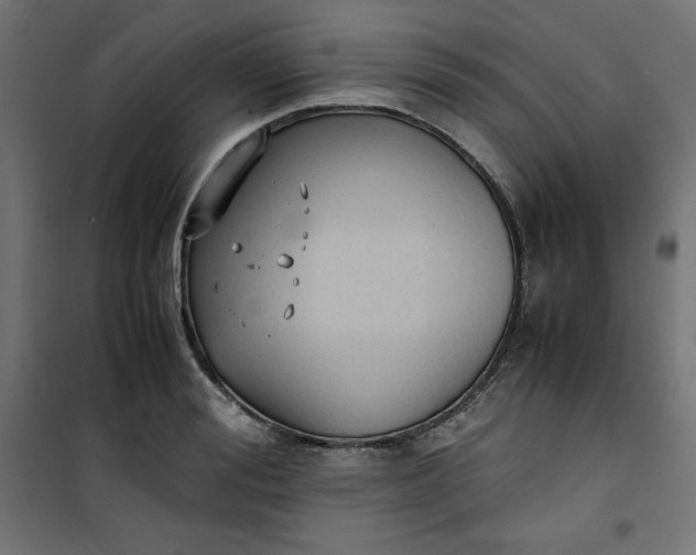 X0000100850988200807070929