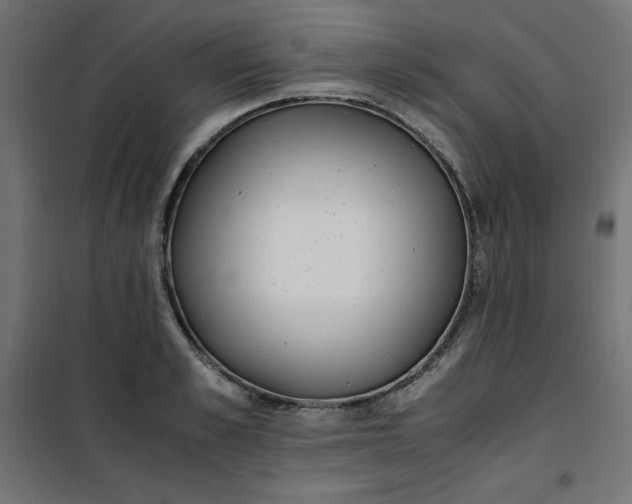 X0000100850989200807070929