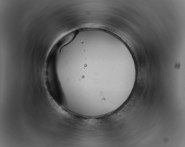 X0000100850992200807070929