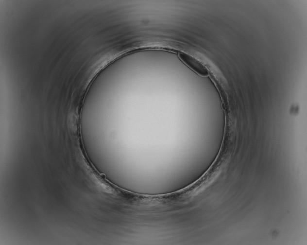 X0000100850993200807070929