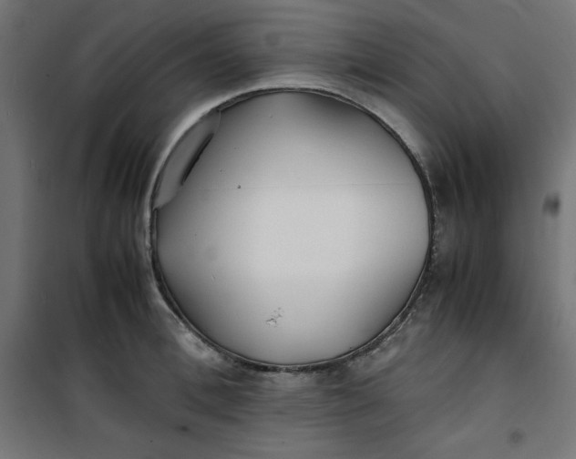 X0000100850996200807070929