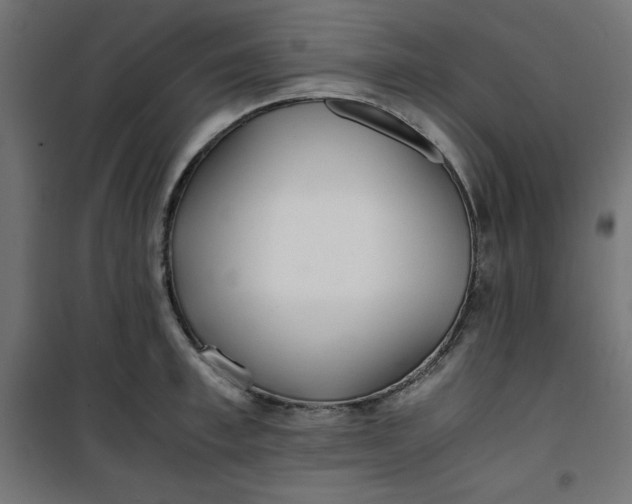 X0000100850997200807070928