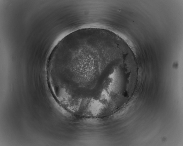 X0000100850998200807070928