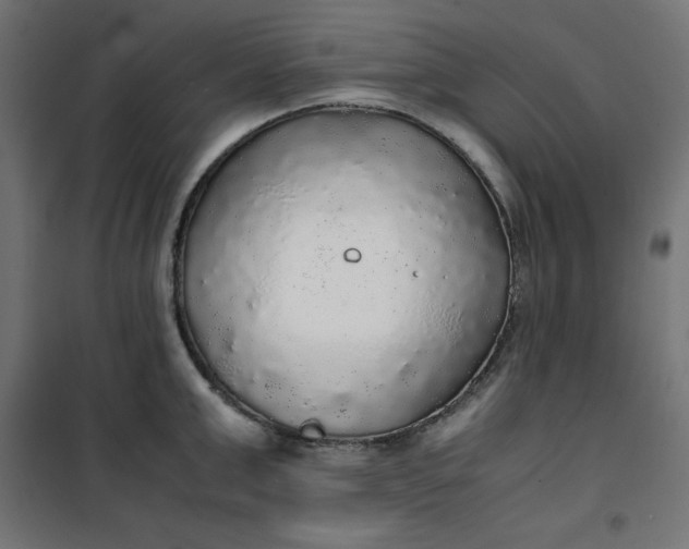 X0000100850999200807070928