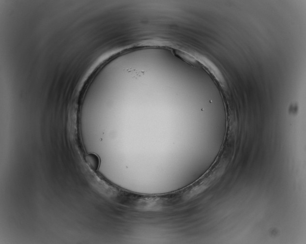 X0000100851000200807070928