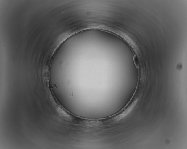 X0000100851001200807070928