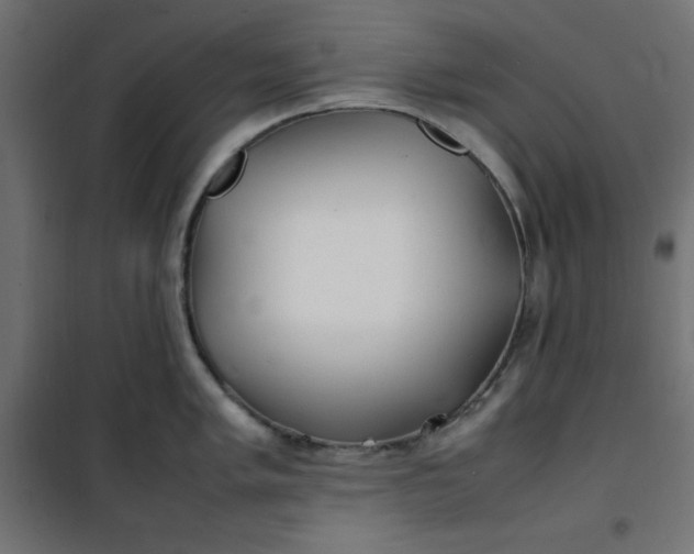 X0000100851005200807070928