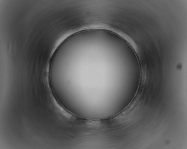 X0000100851006200807070928