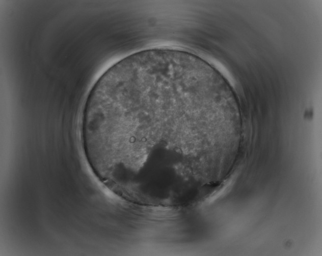 X0000100851007200807070928