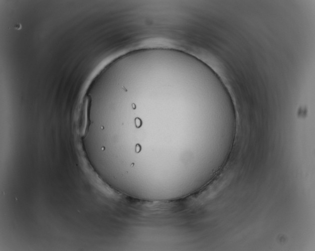 X0000100851008200807070928