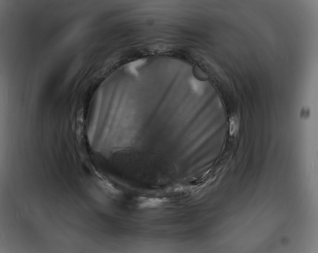 X0000100851011200807070928