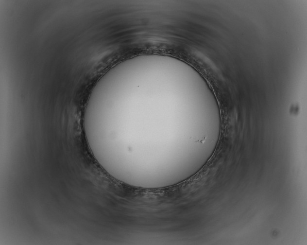 X0000100851013200807070928