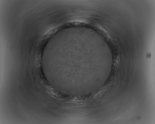 X0000100851014200807070928