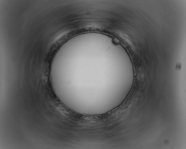 X0000100851015200807070928