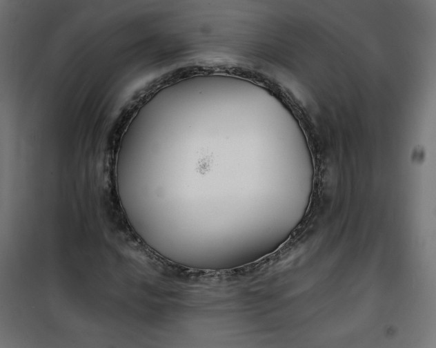 X0000100851016200807070928