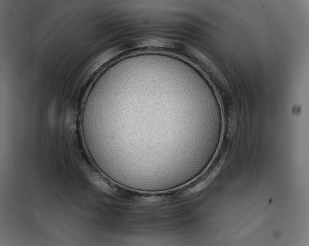 X0000100851017200807070928