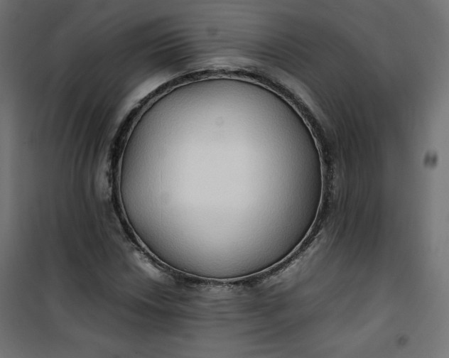 X0000100851018200807070928