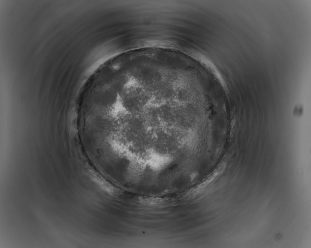 X0000100851019200807070928