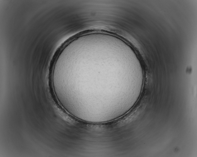 X0000100851020200807070928