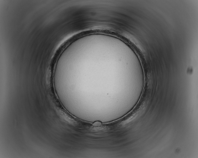 X0000100851021200807070928