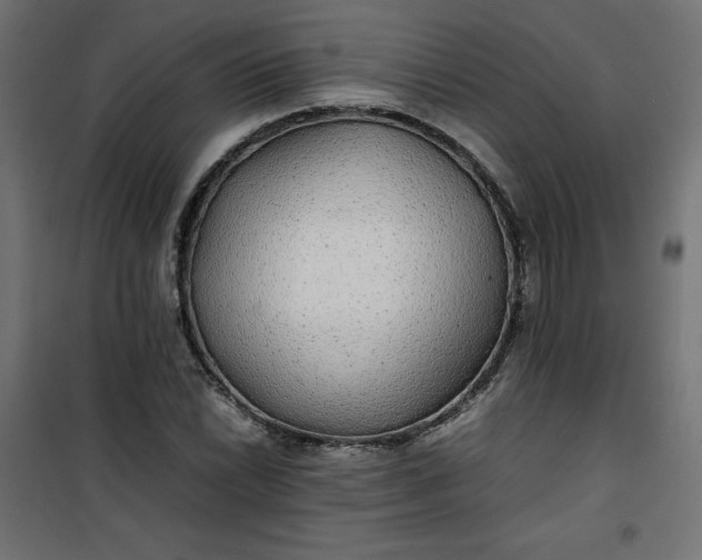 X0000100851022200807070928