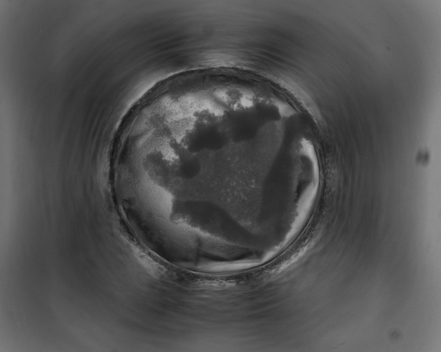 X0000100851023200807070928