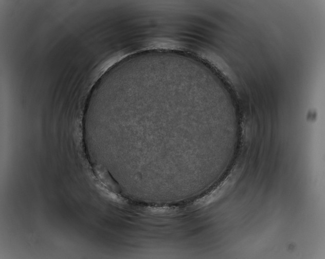 X0000100851025200807070928