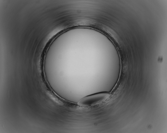 X0000100851026200807070928