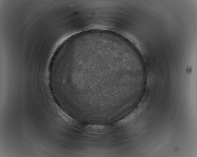 X0000100851027200807070928