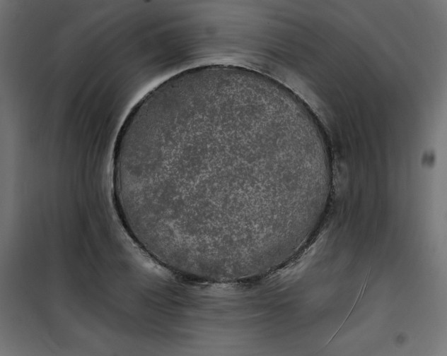 X0000100851028200807070928