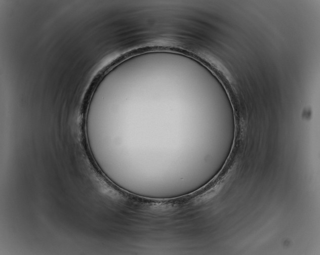 X0000100851029200807070928