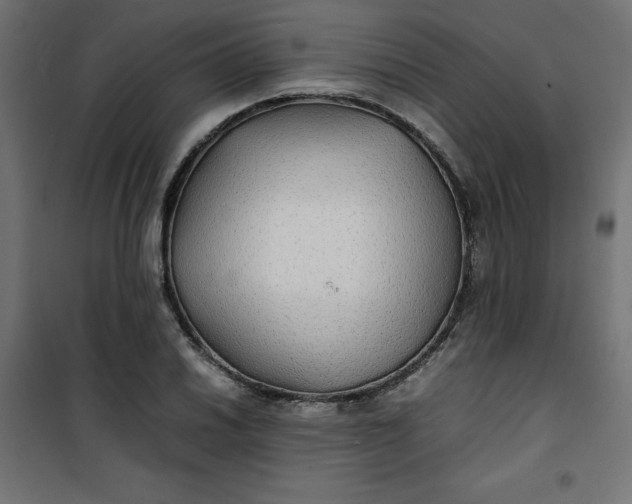 X0000100851030200807070928