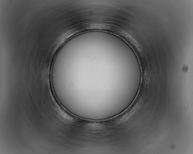 X0000100851033200807070928