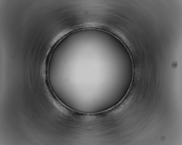 X0000100851034200807070928