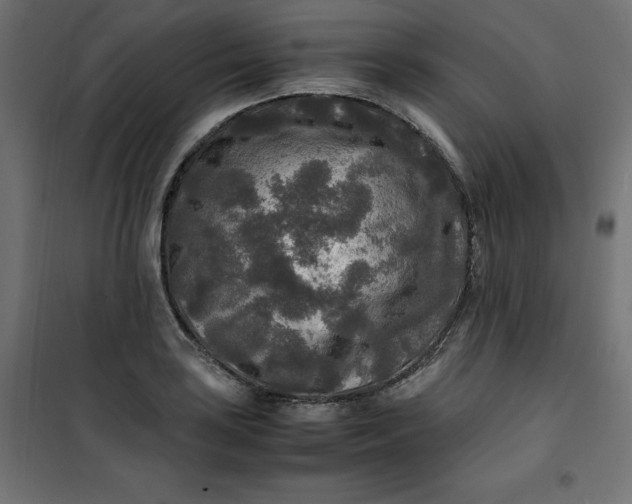 X0000100851035200807070928