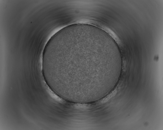 X0000100851036200807070928