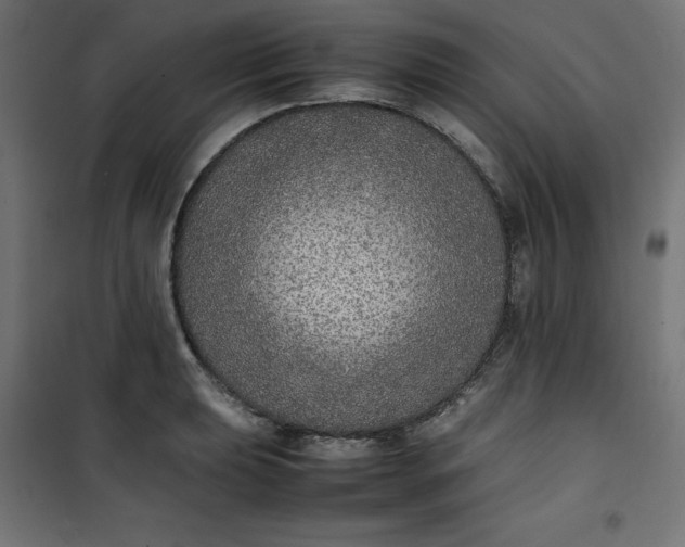 X0000100851039200807070928